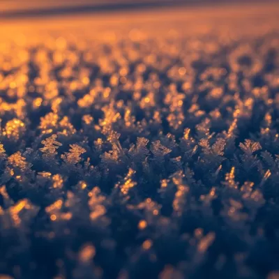 Imagen PNG para descargar